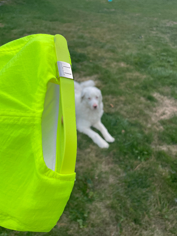 Collector's Edition Compact Disc Cap