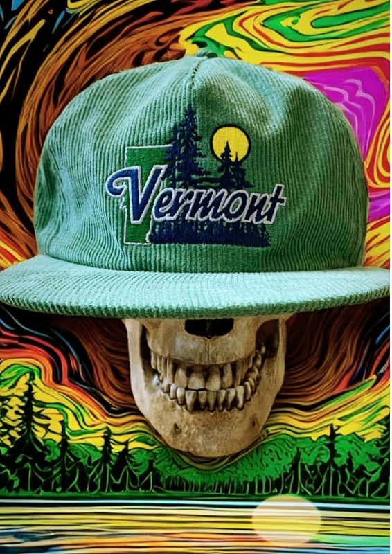 Moonlight in Vermont Snapback Cap