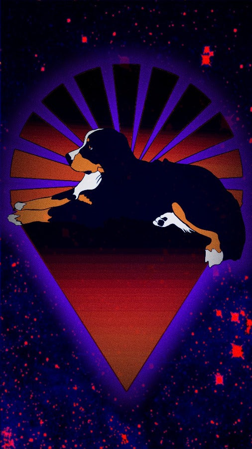 Dog Under the Stars Poster 18x12